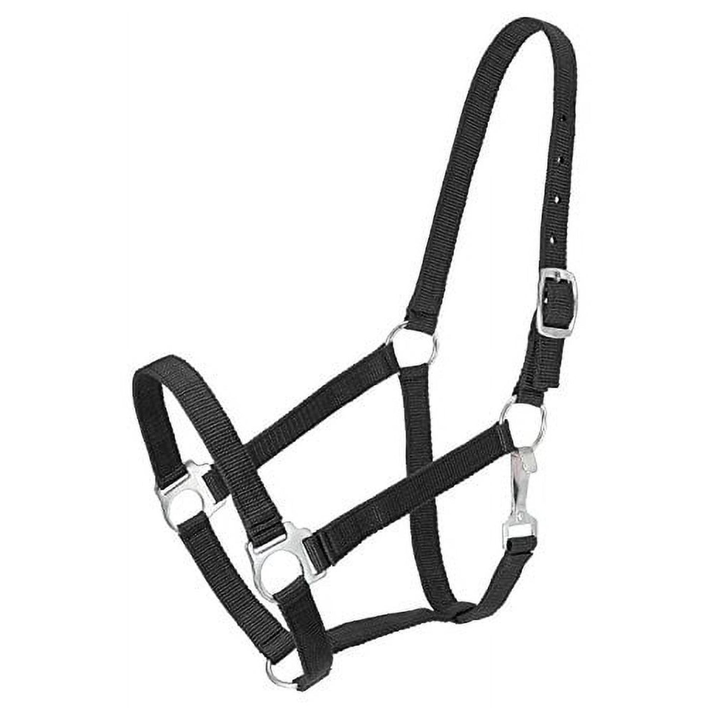 Tough 1 Economy Halter Horse
