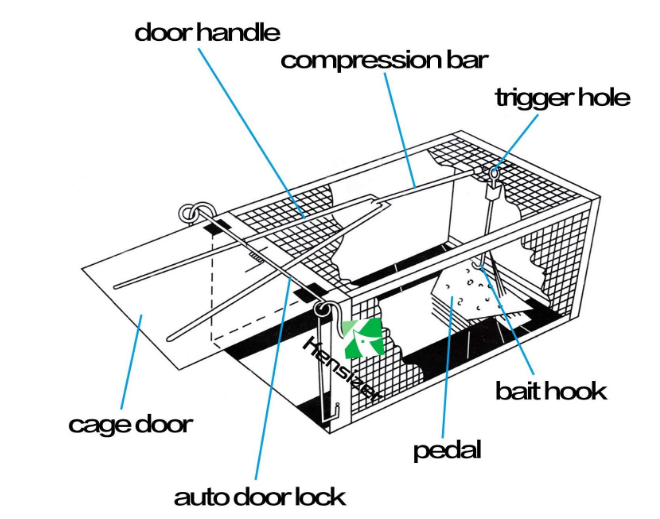 Humane Live Animal Cage Trap for Rats, Mice, Chipmunks, Voles & Hamsters, Catch and Release Rodent Trap, Medium Size 12.5" x 6.6" x 5.3", 1 Pack - Yalz Store