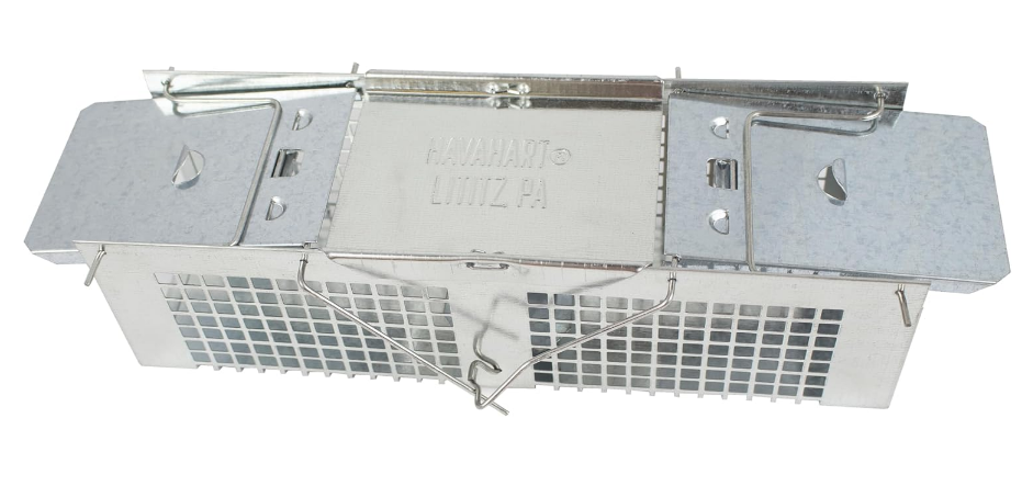 Small 2-Door Humane Live Animal Trap for Moles, Rodents, Shrews, Mice & Voles, Catch and Release Live Catch Mouse Trap