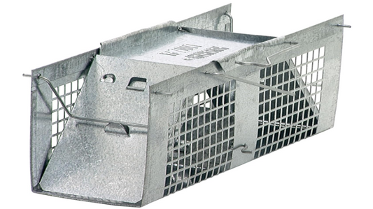 Small 2-Door Humane Live Animal Trap for Moles, Rodents, Shrews, Mice & Voles, Catch and Release Live Catch Mouse Trap