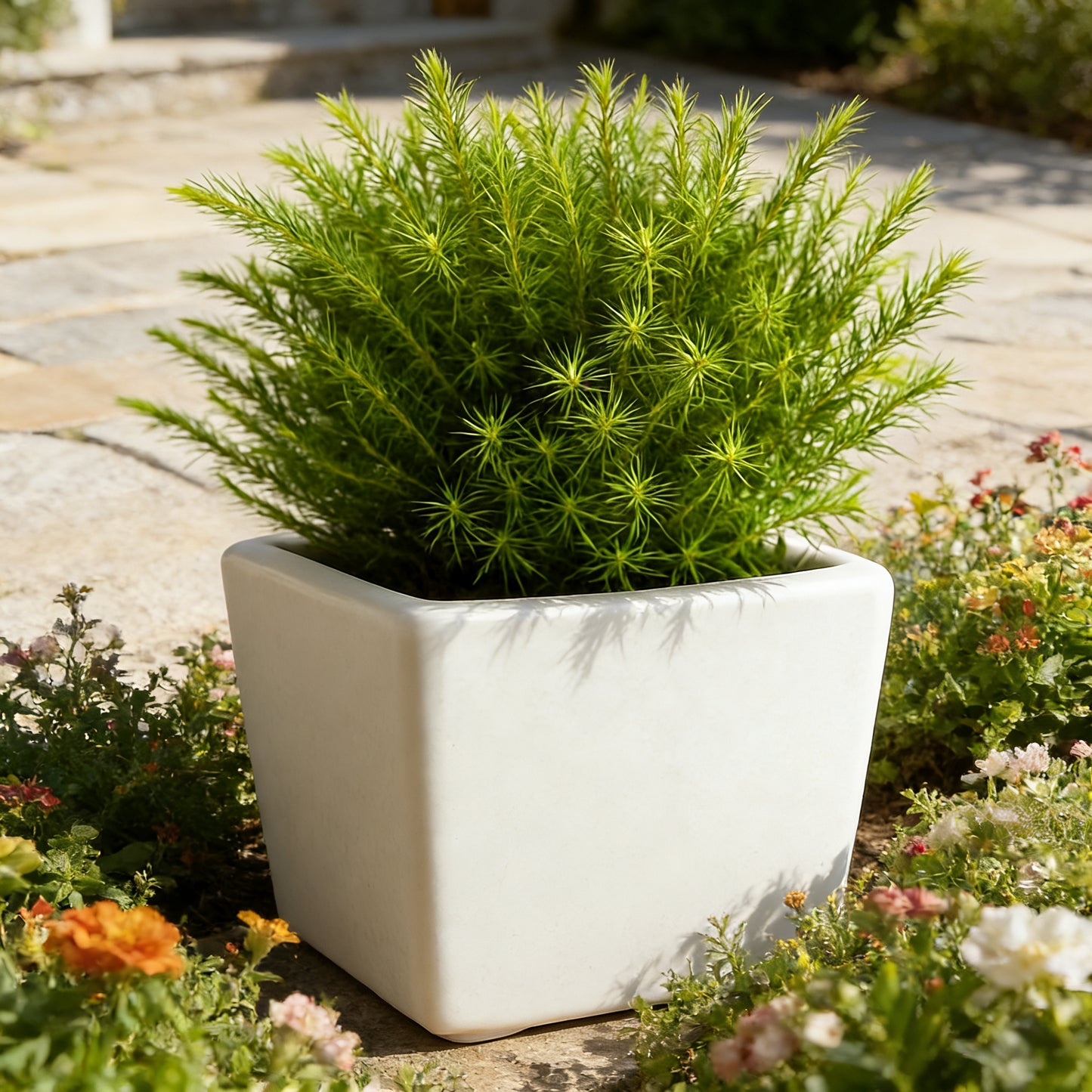 Abbott Collections AB-27-NIRVANA-8034 3 x 6 in. Rectangular Planter White - Yalz Store