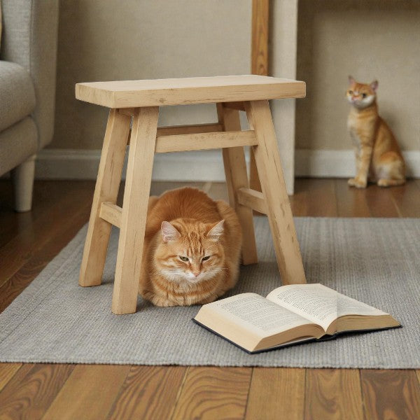 Thatcher Wood Stool Natural - Threshold designed with Studio McGee - Yalz Store