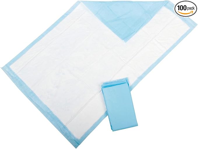 HEALTH 1st Disposable Underpads, 23 x 24 in, Blue, 100 Count