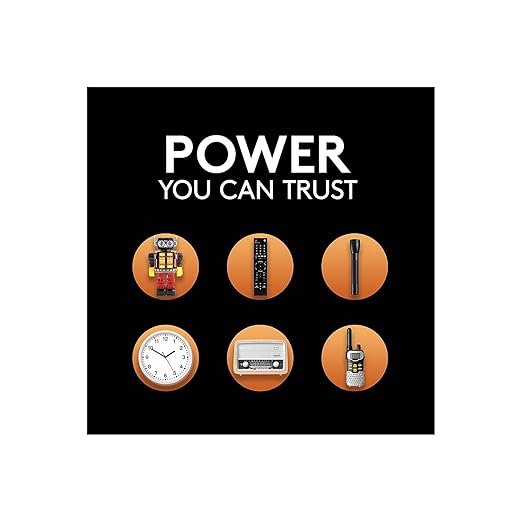 Duracell PGD MN1300 Coppertop Battery, Alkaline, D Size (Pack of 12)