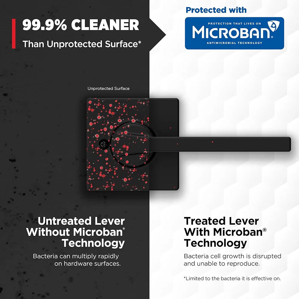 Closet and French Door Dummy Lever Handle, Single-Sided, Matte Black