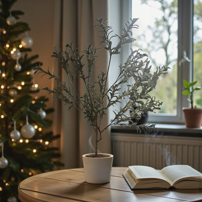 6.5' OLIVE TREE - Yalz Store