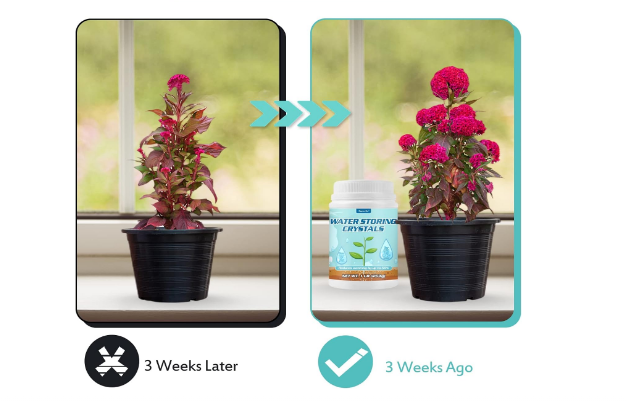 1LB Water-Storing Crystals for Plants – Soil Moisture Retention Polymer with Measuring Spoon – Water Gel for Indoor & Outdoor Gardening - Yalz Store