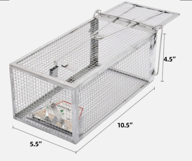 Humane Live Animal Cage Trap for Rats, Mice, Chipmunks, Voles & Hamsters, Catch and Release Rodent Trap, Medium Size 12" x 6.5" x 5", 1 Pack - Yalz Store