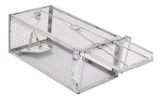 Humane Live Animal Cage Trap for Rats, Mice, Chipmunks, Voles & Hamsters, Catch and Release Rodent Trap, Medium Size 12" x 6.5" x 5", 1 Pack - Yalz Store