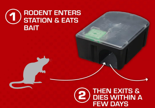 Disposable Mouse & Rat Kill Stations for Indoor & Outdoor Use, Child & Dog Resistant, Pre-Filled, Easy Monitoring, 2-Pack - Yalz Store
