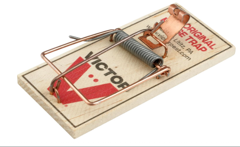 Wooden Mouse Traps, Metal Pedal Snap Traps, Sustainably Sourced Wood, Classic Wooden Mouse Traps, Pack of 12 - Yalz Store