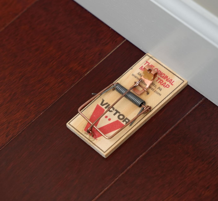 Wooden Mouse Traps, Metal Pedal Snap Traps, Sustainably Sourced Wood, Classic Wooden Mouse Traps, Pack of 12 - Yalz Store