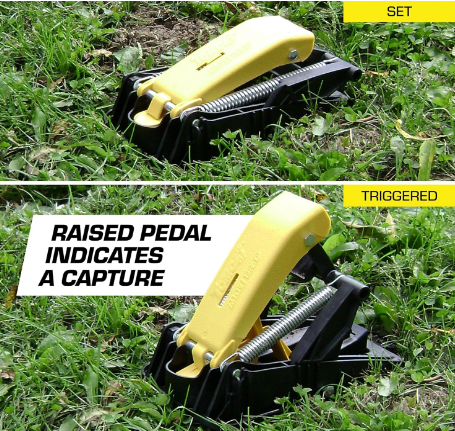 Mole Trap, Innovative & Effective Mole Remover Trap, Bloodless Kill Design, Reusable Hands-Free Mole Control, 1 Trap - Yalz Store