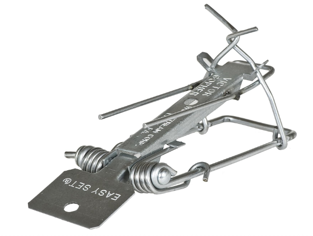 Easy Set Weather-Resistant Outdoor Gopher Trap, Versatile Yard Gopher Killer Trap, Fast & Effective Gopher Control, 2-Pack - Yalz Store