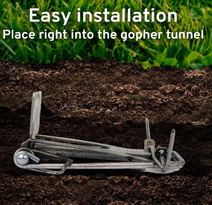Easy Set Weather-Resistant Outdoor Gopher Trap, Versatile Yard Gopher Killer Trap, Fast & Effective Gopher Control, 2-Pack - Yalz Store