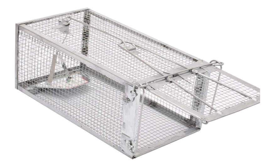 Humane Live Animal Cage Trap for Rats, Mice, Chipmunks, Voles & Hamsters, Catch and Release Rodent Trap, Medium Size 12.5" x 6.6" x 5.3", 1 Pack - Yalz Store