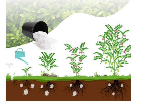 1LB Water-Storing Crystals for Plants – Soil Moisture Retention Polymer with Measuring Spoon – Water Gel for Indoor & Outdoor Gardening - Yalz Store