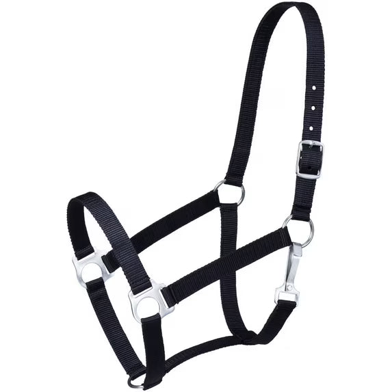 Tough 1 Economy Halter Horse
