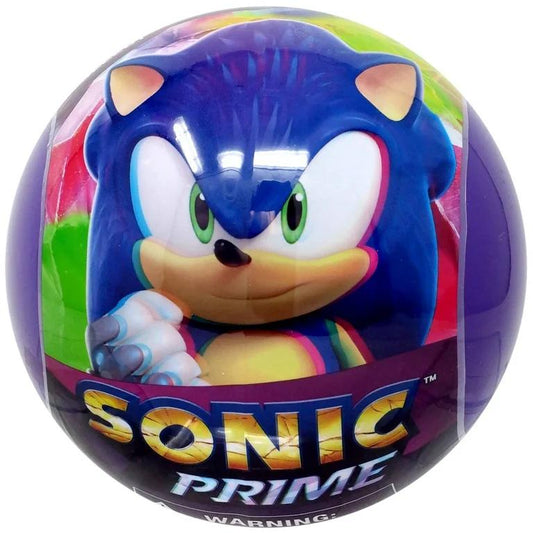 Sonic The Hedgehog Series 1 Articulated Action Figure Mystery Pack (1 RANDOM Figure, Capsule)